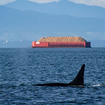 Our Organisation thumbnail