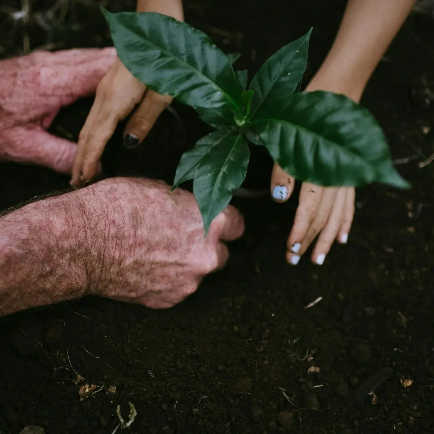 Love in Action thumbnail