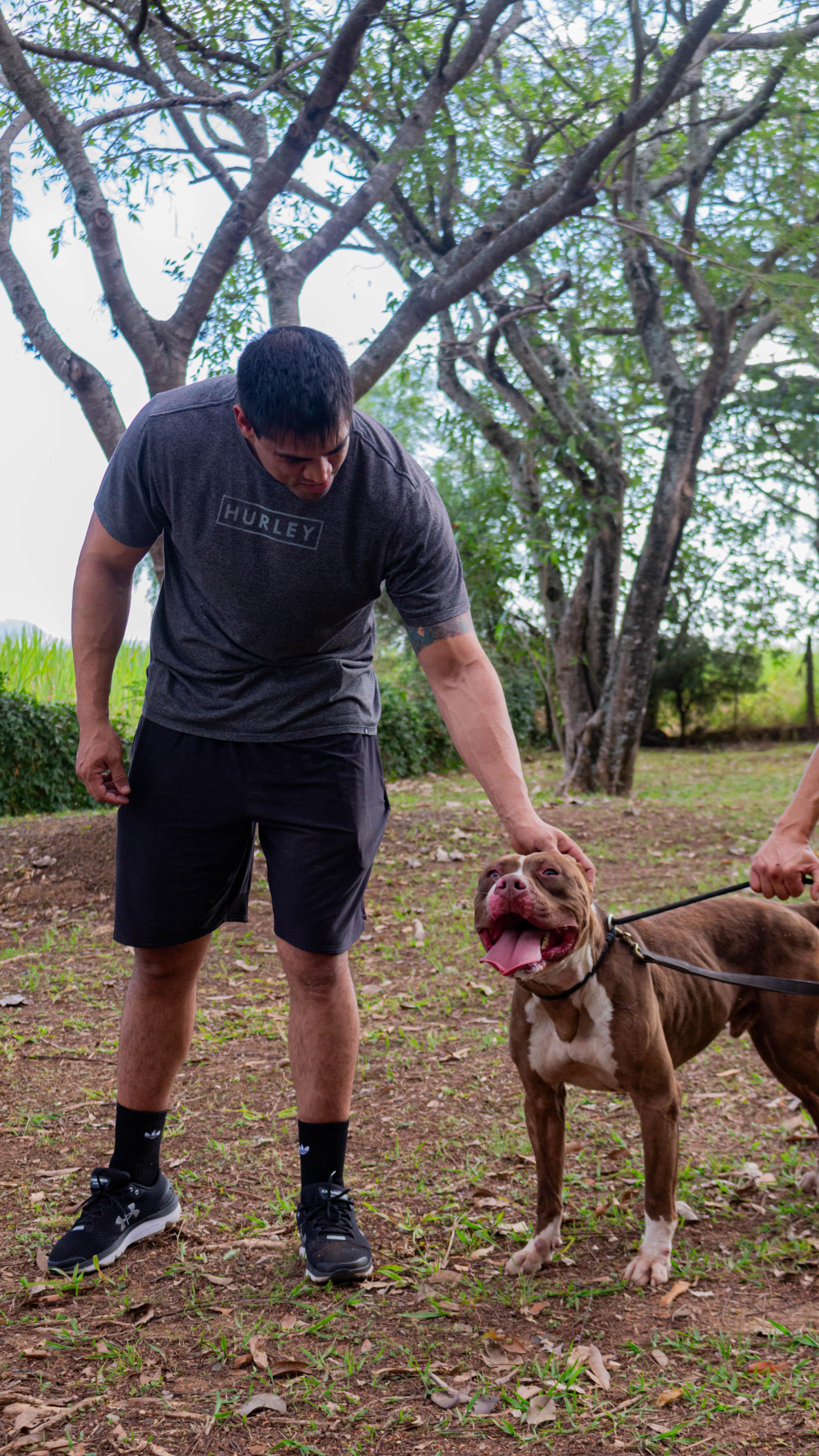 Amar um animal é entender as suas necessidades e respeitar a sua espécie, e com os nossos queridos cães da raça Pitbull