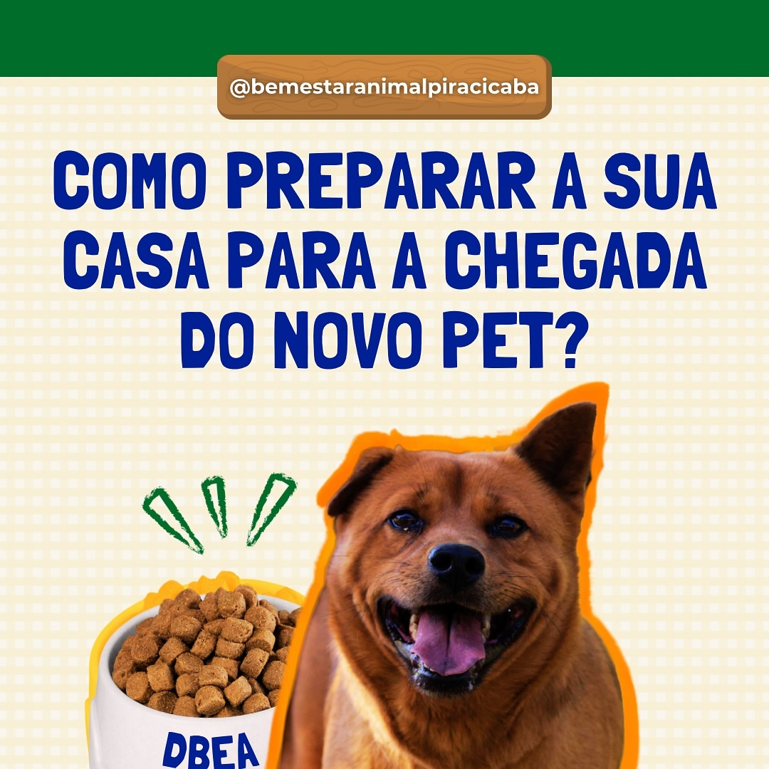 GUIA: Como preparar sua casa para a chegada de um novo pet? ✨🏠
Esse foi um conteúdo muito pedido pela nossa comunidade!