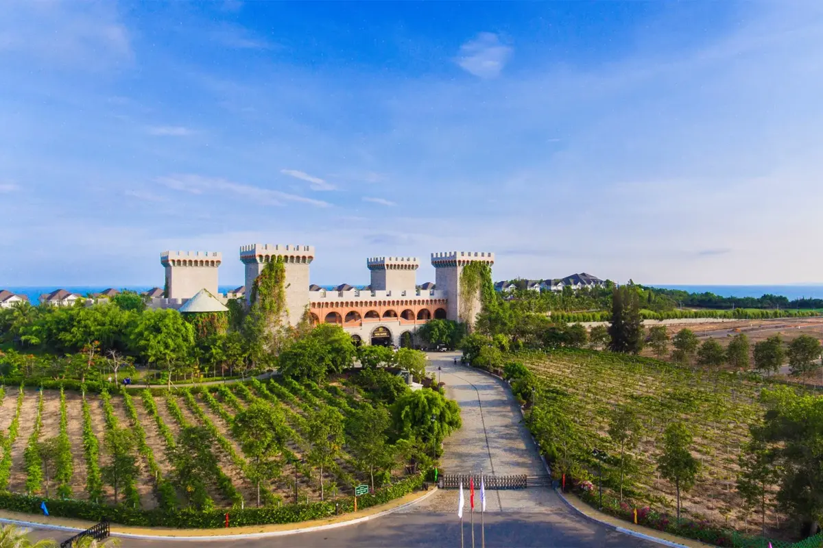 Lâu Đài Rượi Vang RD Wine Castle Sealink Mũi Né Phan Thiết thumbnail