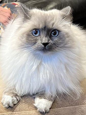 Marketing Services thumbnail