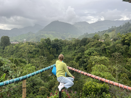 Reviews of Work  thumbnail