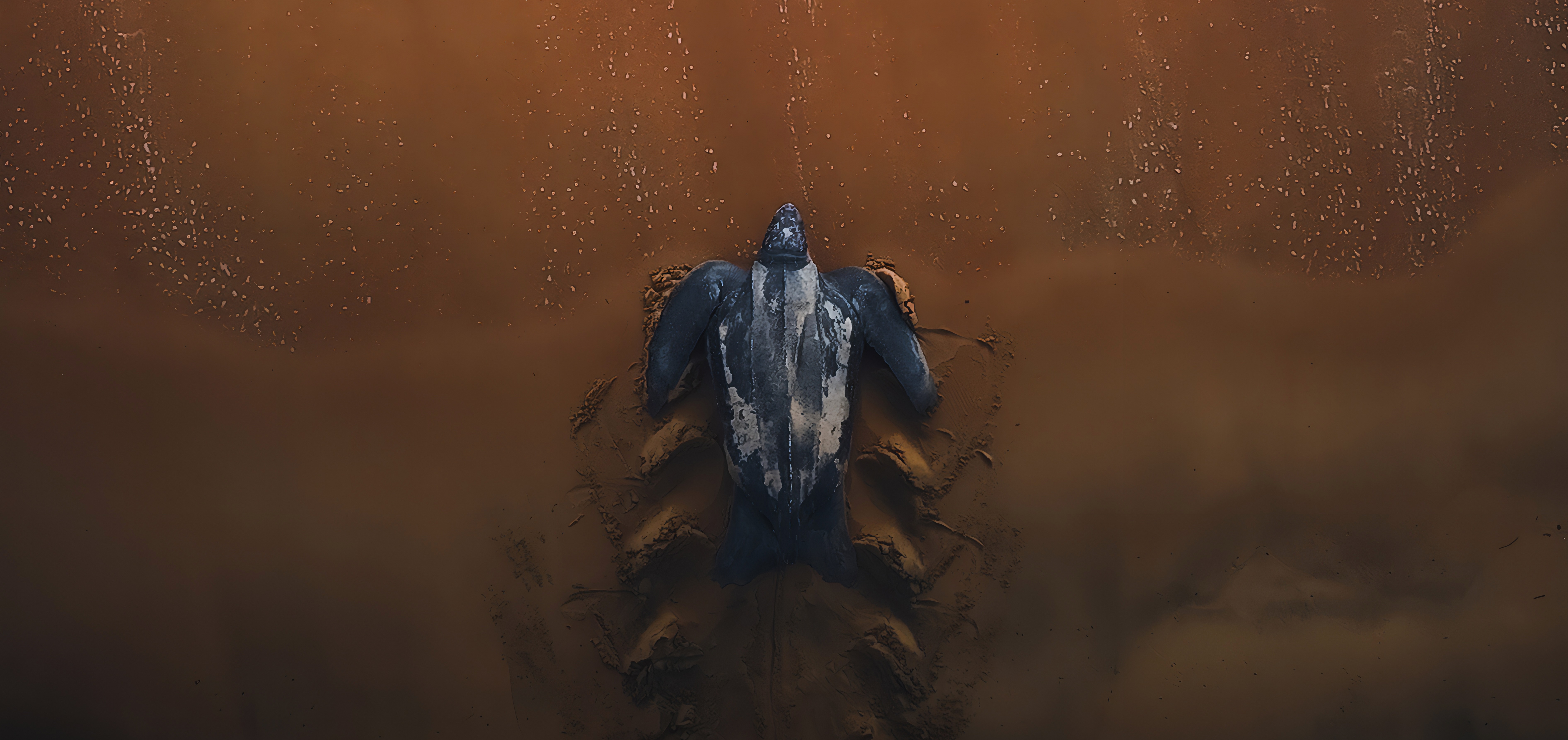  LA PÉTITION 🐢✍️  thumbnail