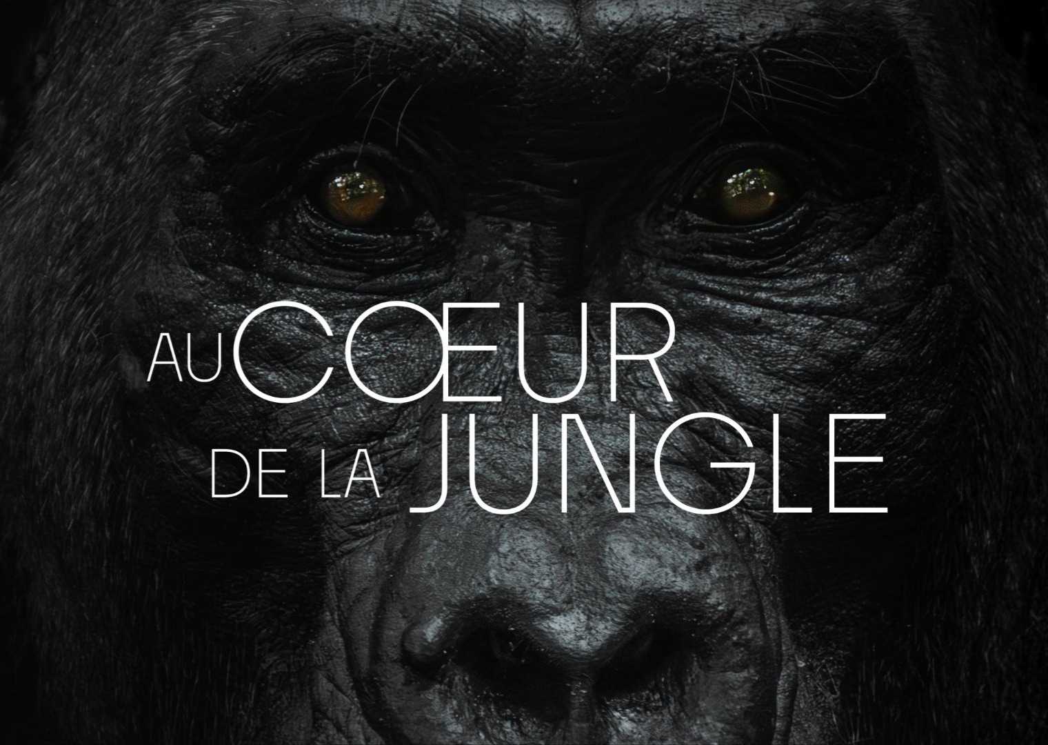 Mon nouveau film : Au Coeur de la Jungle thumbnail