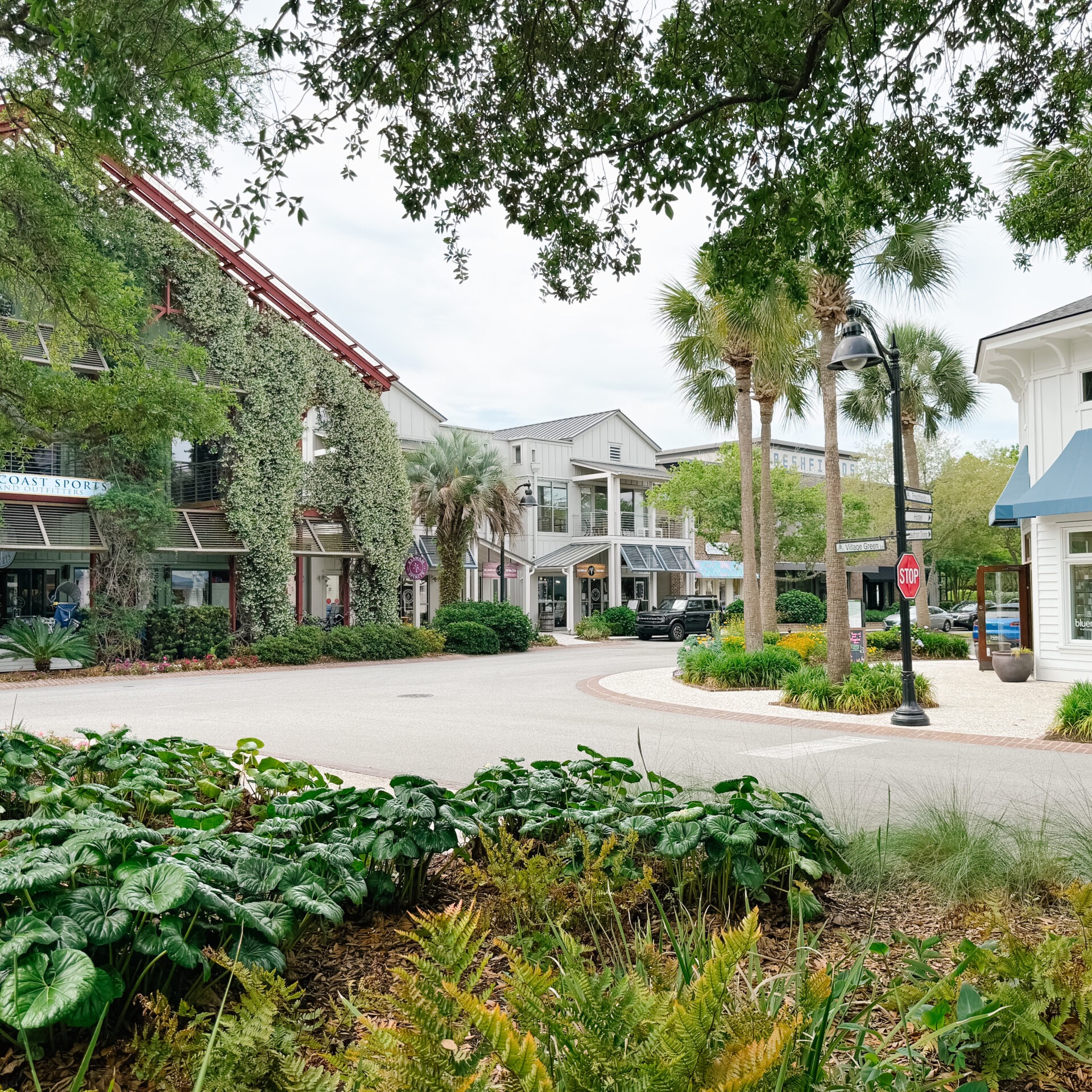 Discover Things to do in CHS at Freshfields Village thumbnail