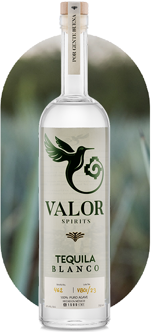 Shop Valor thumbnail