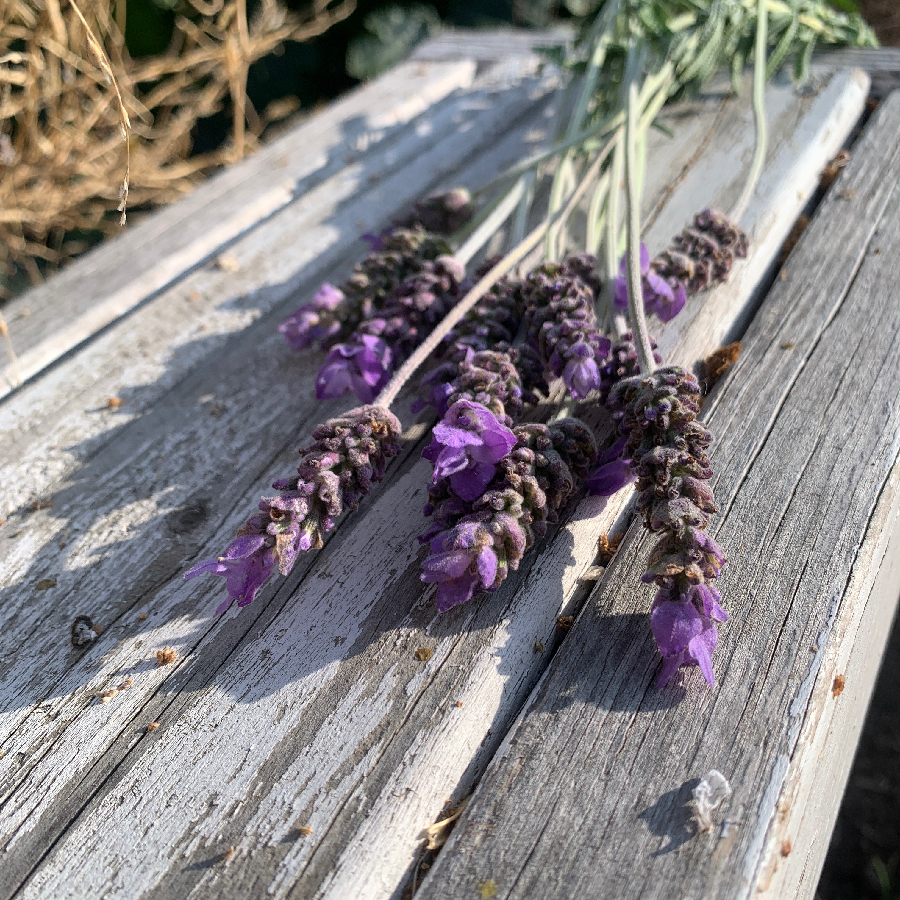 Online Booking thumbnail