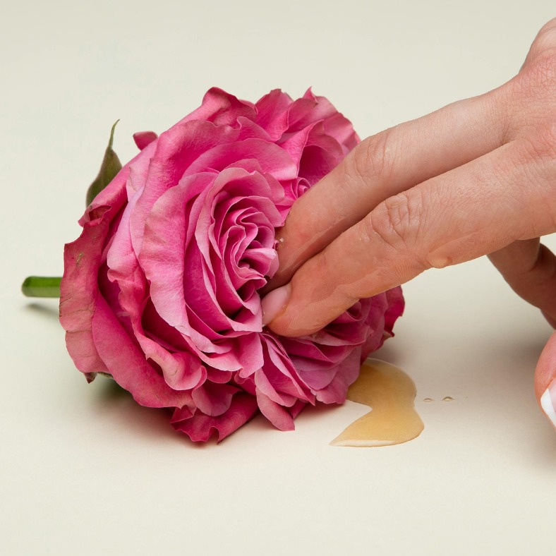 Read a Love Letter to My Pussy thumbnail