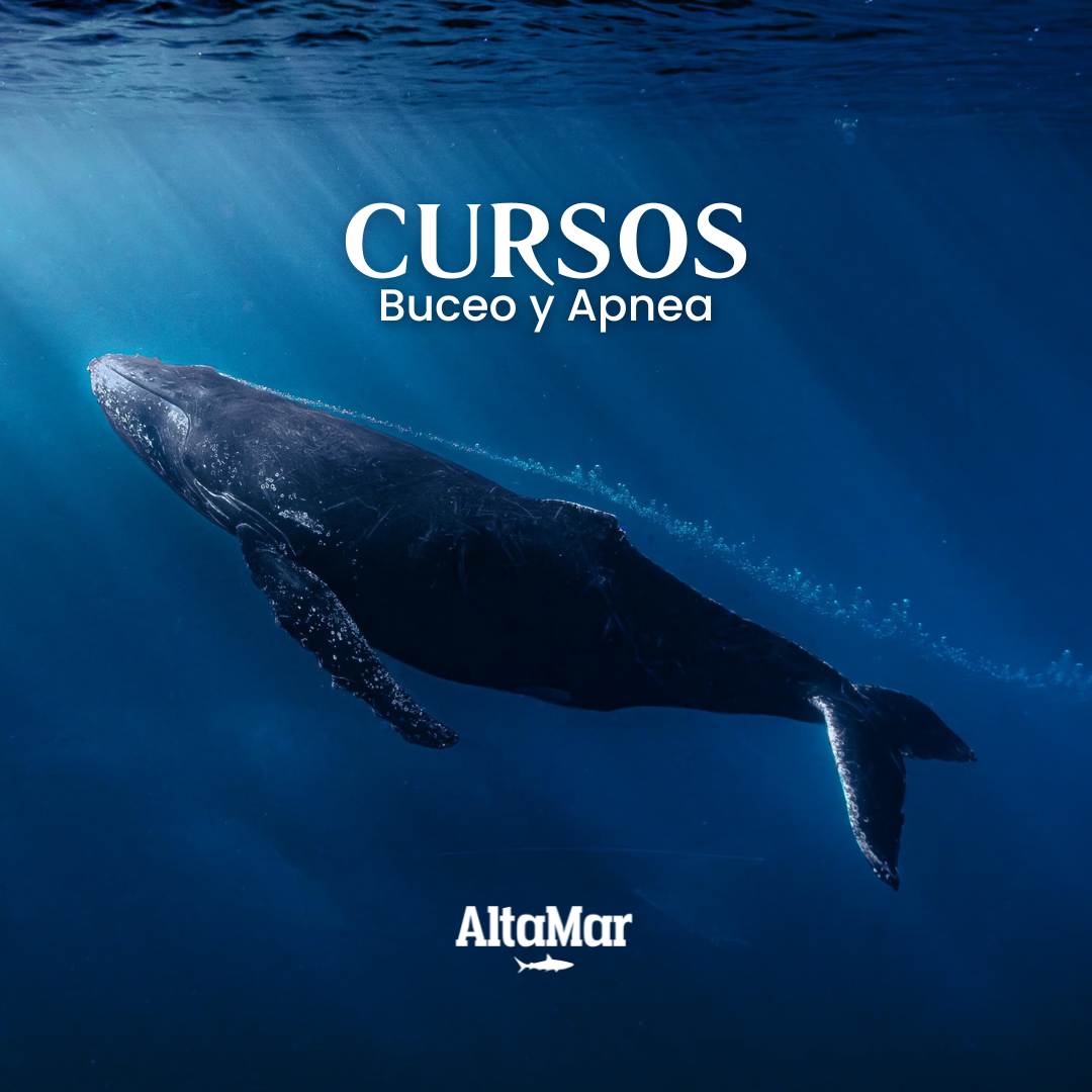 Forma parte del azul thumbnail