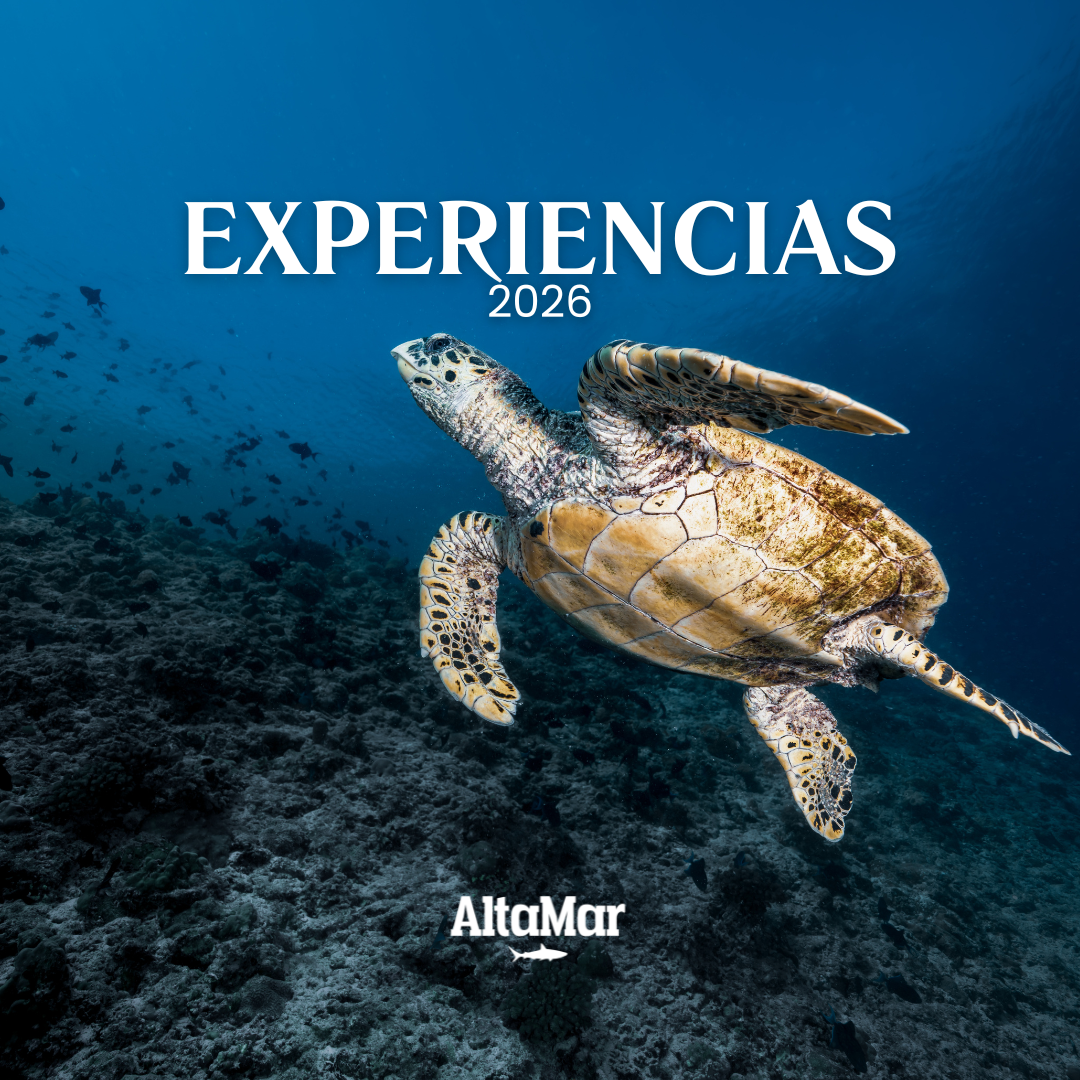 Vive el océano thumbnail