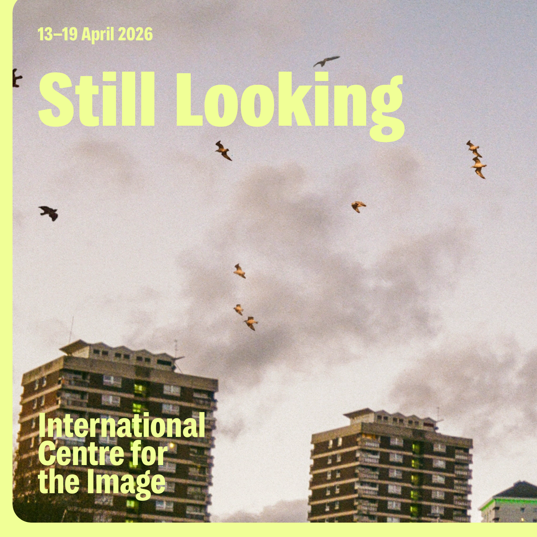 Still Looking – International Centre for the Image thumbnail