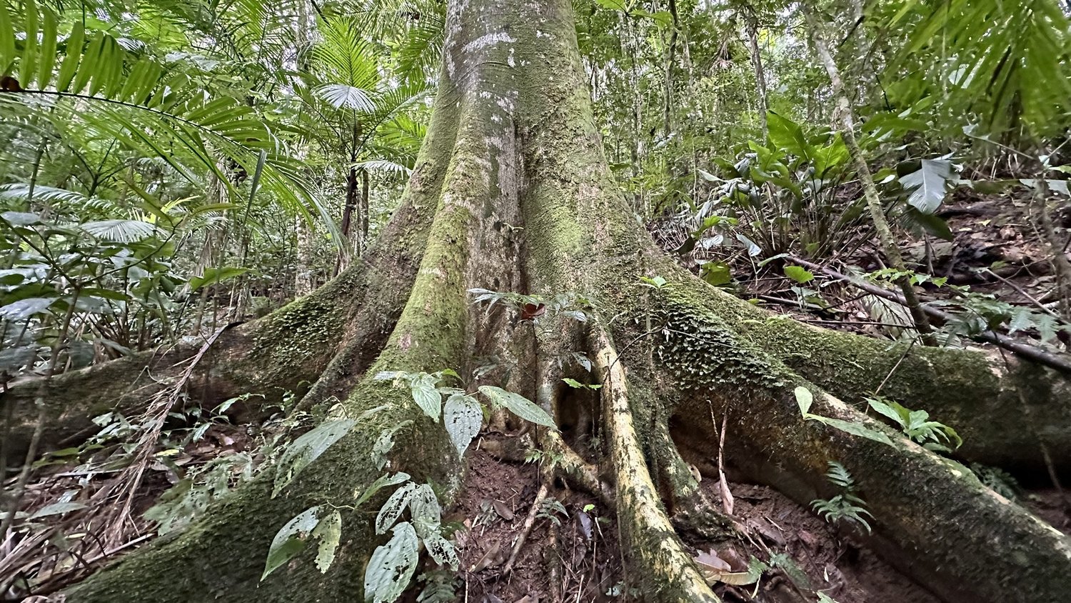 agape center for healing arts thumbnail