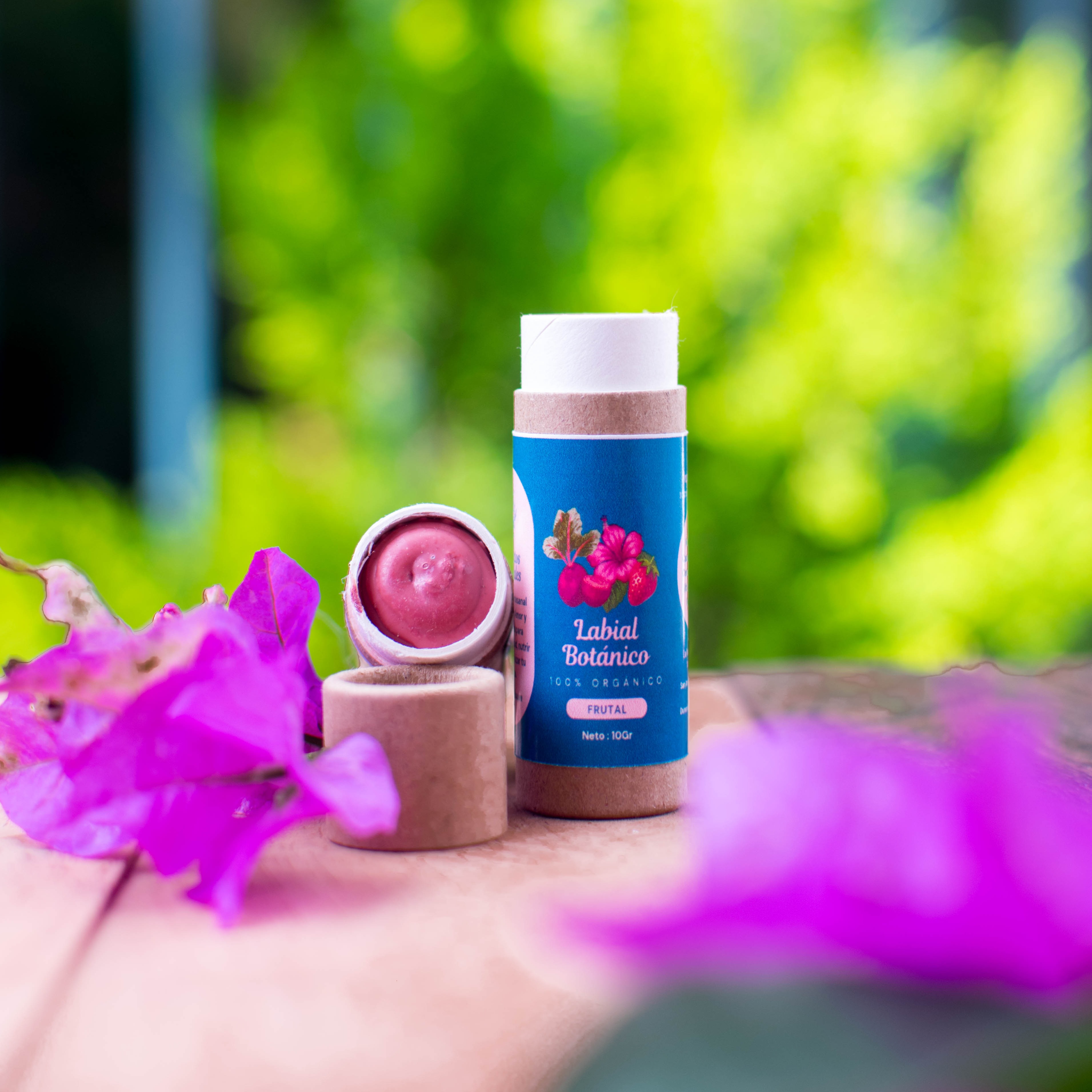 🏵️ Catálogo De Productos thumbnail