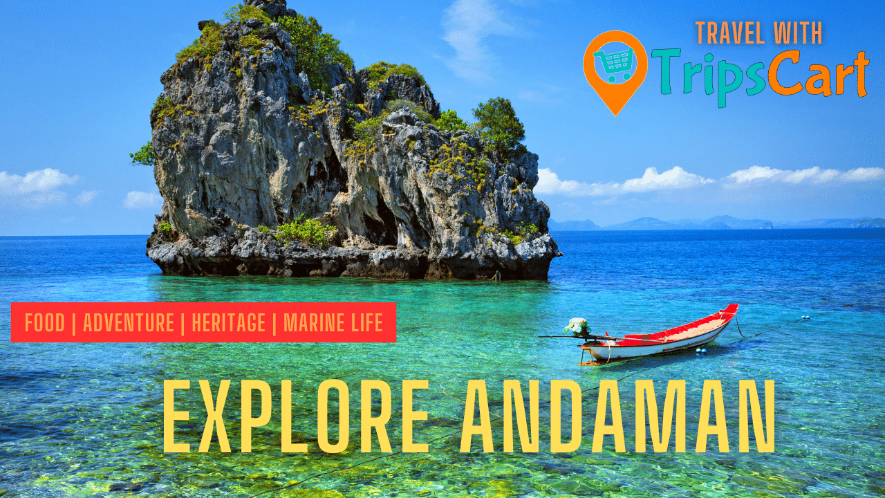 Delhi to Andaman Tour Package: Explore Andaman - TripsCart Holidays thumbnail