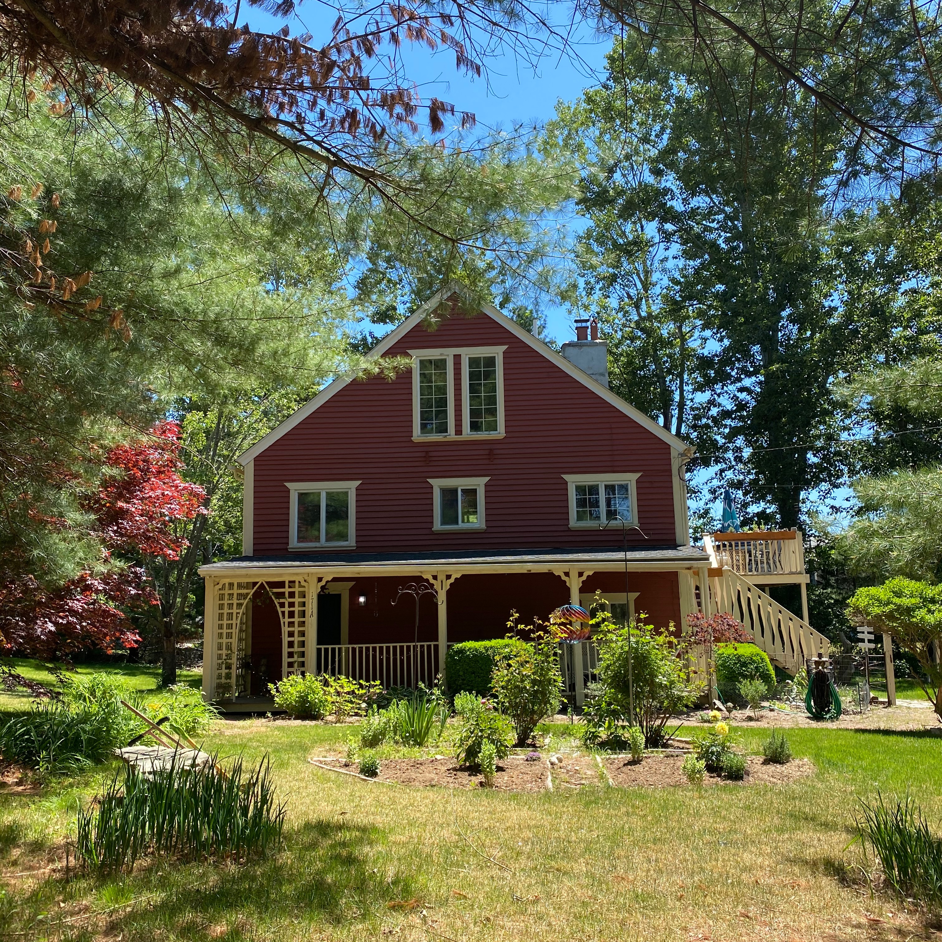 Check out White Pine! thumbnail