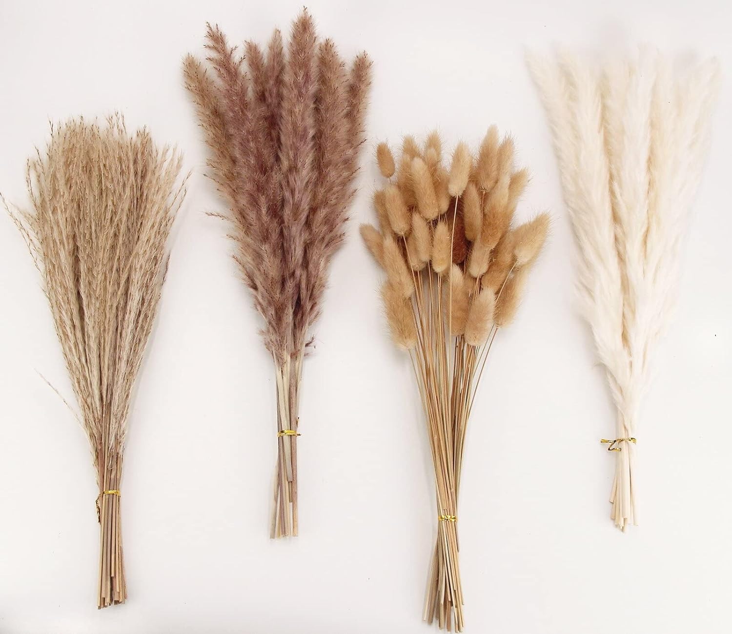 Pampas secas thumbnail