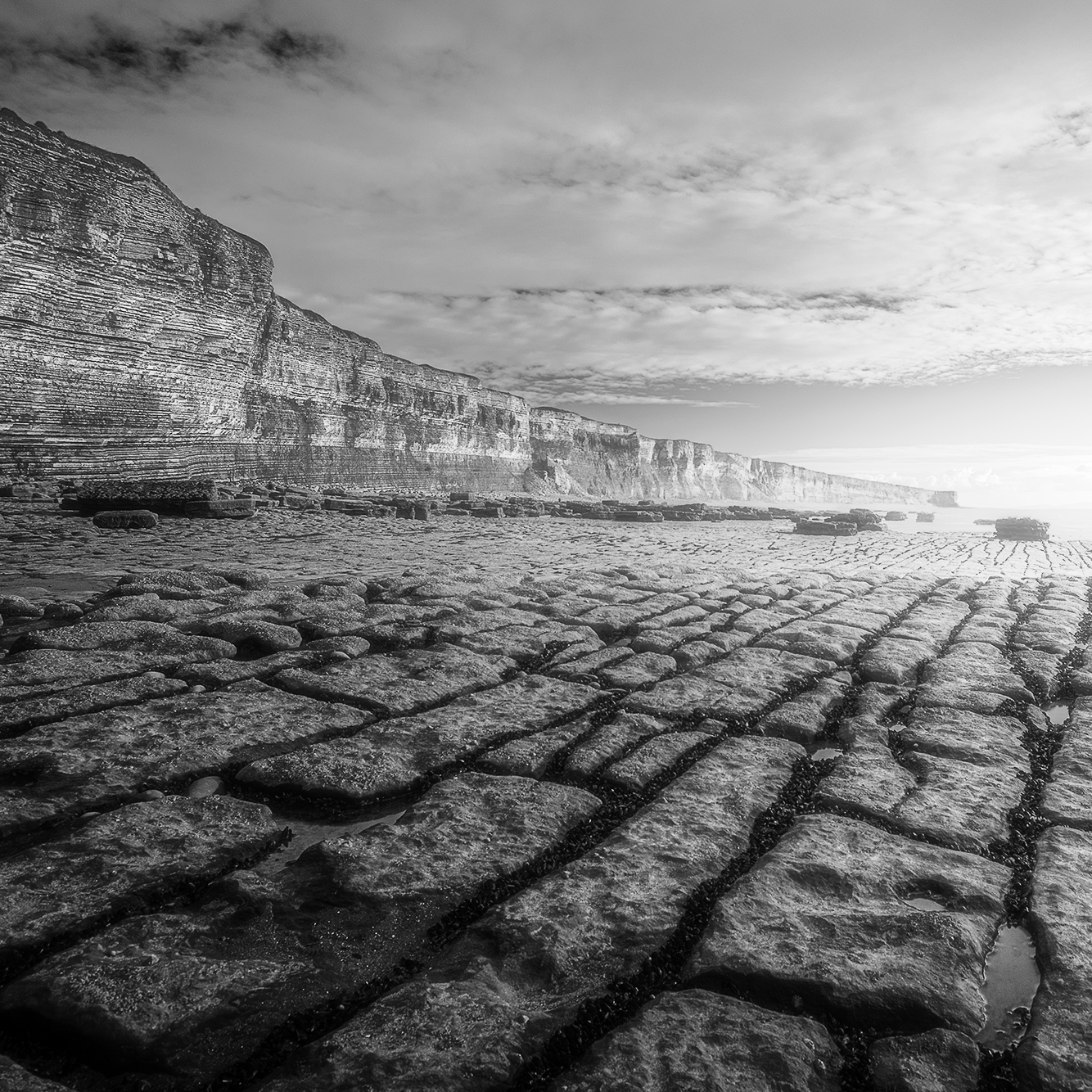 Finding Compositions In Landscapes (Free e-book) thumbnail