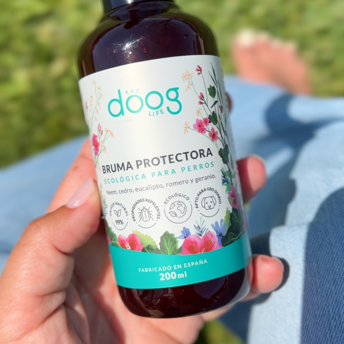 10% dto en The Doog Life 🐶&nbsp;con el código CALÇOT  thumbnail