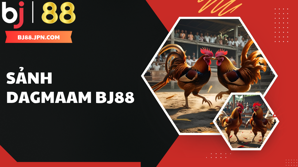Sảnh Digmaam BJ88 – Đấu Trường đá Gà Sống động, Chân Thật thumbnail