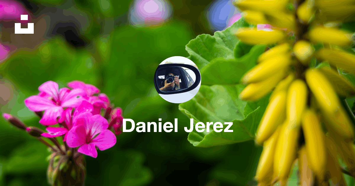 Daniel Jerez (@danieljerez) | Unsplash Photo Community thumbnail