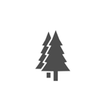 My Portfolio thumbnail