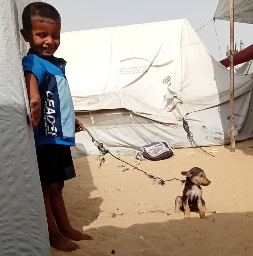 Mohamed & his family of 13 at the small farm thumbnail