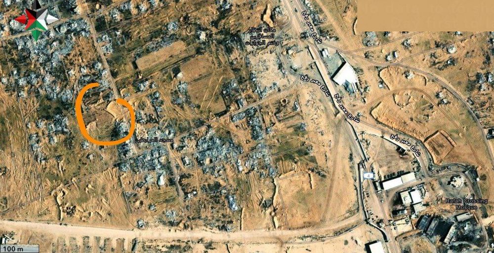 meave (sumud, sister) (@meave.nyc) thumbnail