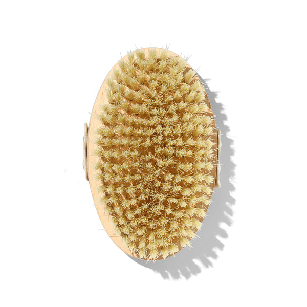 Brosse à Sec Corps thumbnail