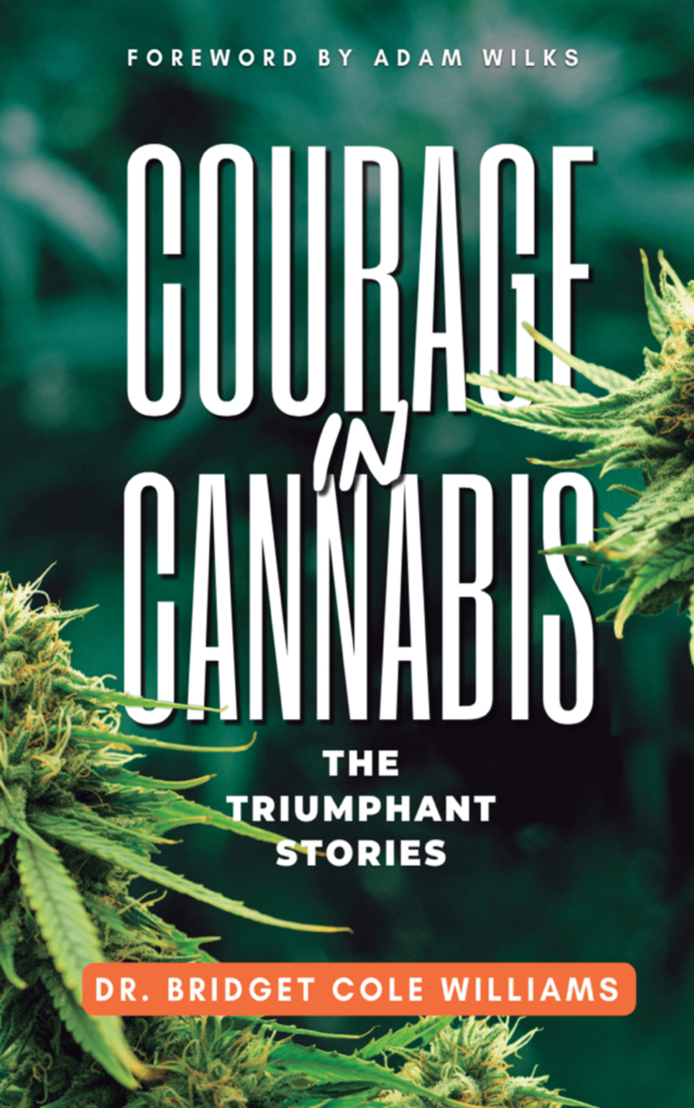 Courage in Cannabis Vol. 2 (Bio) thumbnail