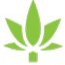 Evergreen Solutions- Cannabis Business Consulting thumbnail