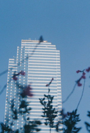 Robin Fims | Vintage Film Photography thumbnail