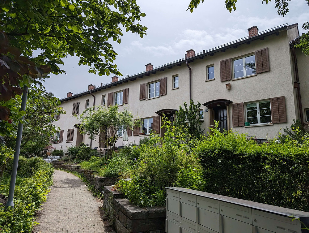 Frieseberg | Quartierblog thumbnail