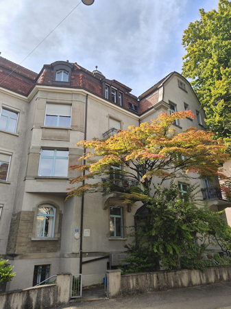 Oberstrass | Quartierblog  thumbnail