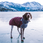 Sage’s winter parka thumbnail