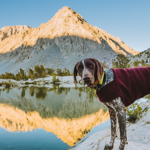 Sage’s hiking boots thumbnail