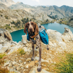 Sage’s hiking backpack thumbnail