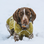 Sage’s fleece-lined overcoat thumbnail