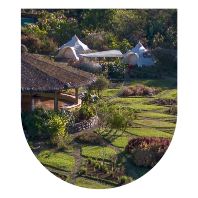 Sacred Communion w/ Ayahuasca: July Retreat, Costa Rica thumbnail