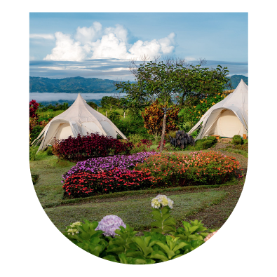 Ayahuasca Heart Healing Retreat - April, Costa Rica thumbnail