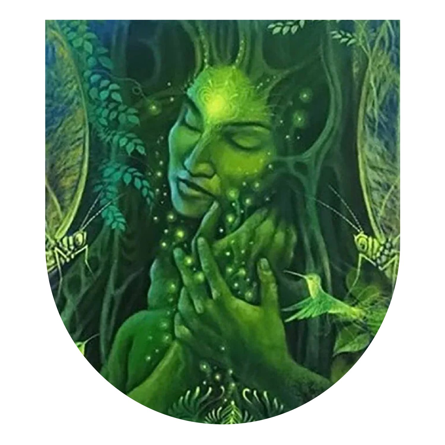 Ayahuasca Mystery School thumbnail
