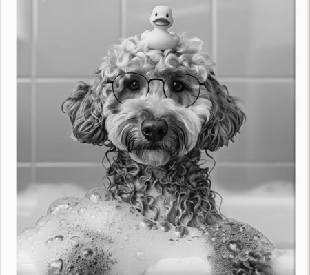 Catálogo de Serviços  thumbnail