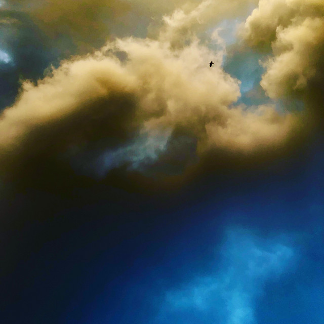 New Song: "Tell Me the Truth..." w/ Philip Sheppard thumbnail