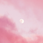 FELLOW$hIP 🛐 thumbnail