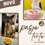 Pasje torte po naročilu❣️ thumbnail