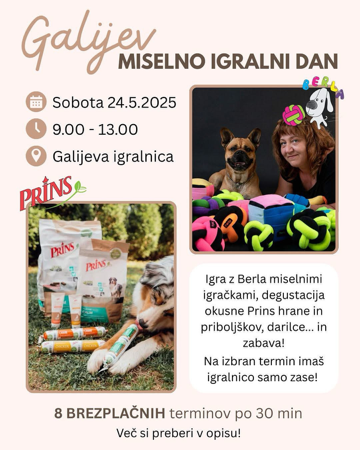 Galijev miselno igralni dan ❤️ thumbnail