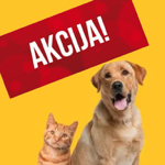 Galijeve akcije❣️ thumbnail