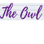 The Seymour Owl  thumbnail