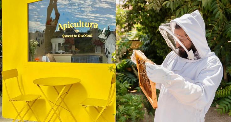 Descubre Dear Honey: la primera experiencia de apicultura en Tijuana 📰 thumbnail