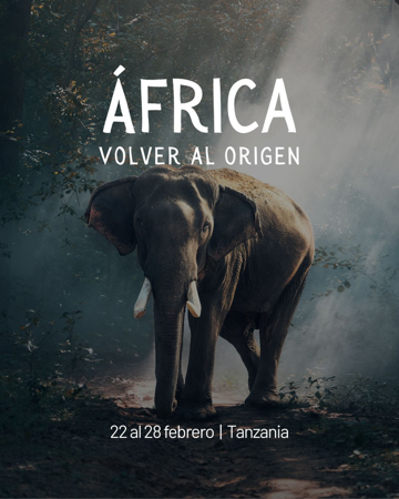 Africa: Retiro Omvocado 2026 thumbnail